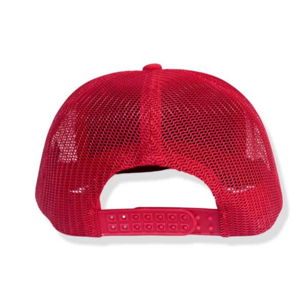 Gorra Duff SemiPlana-3D - Image 6